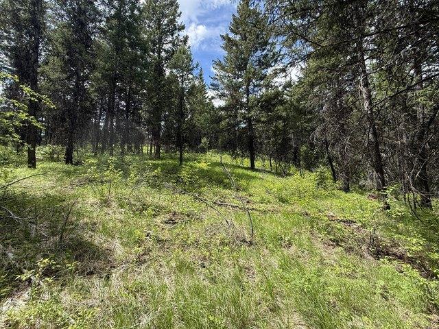 Land for sale in Republic, Washington