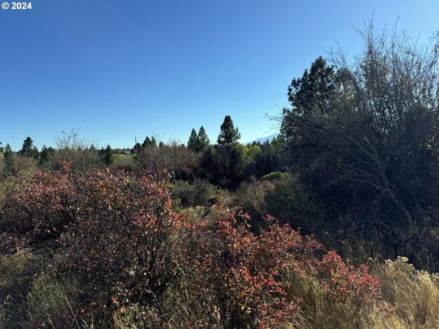 Land for sale in Chiloquin, Klamath County