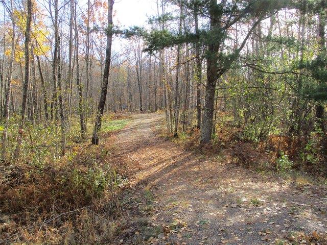 Land for sale in Birchwood, Washburn County