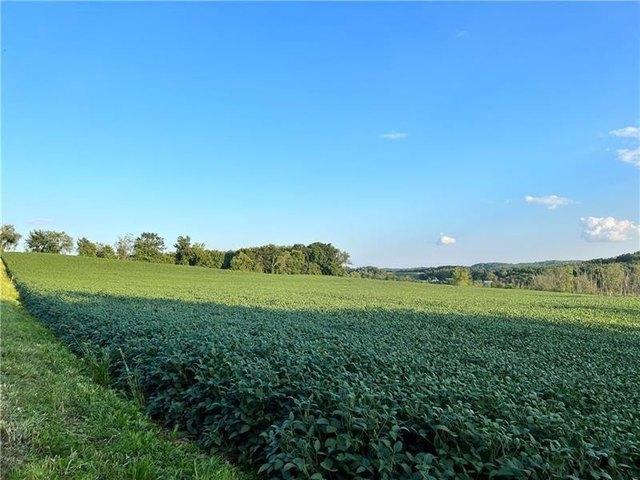 Land for sale in Beaver, Pennsylvania