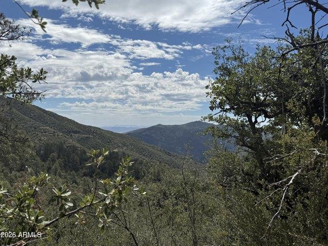 Land for sale in Crown King, Arizona