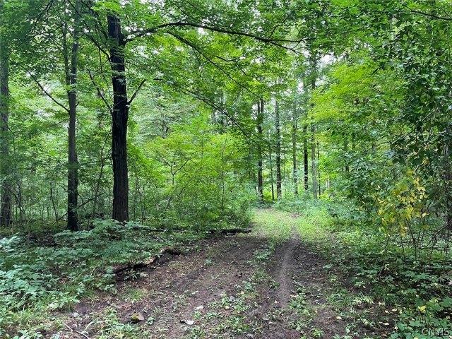 Land for sale in Orleans, New York