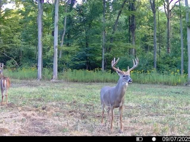 Land for sale in Orleans, New York