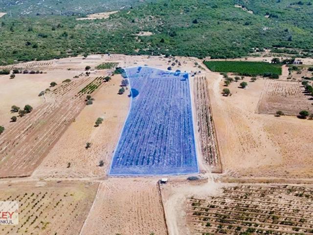 Eğlenhoca Mahallesi, Karaburun içerisinde satılık Arsa