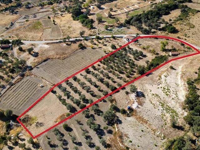 Kösedere Mahallesi, Karaburun içerisinde satılık Arsa