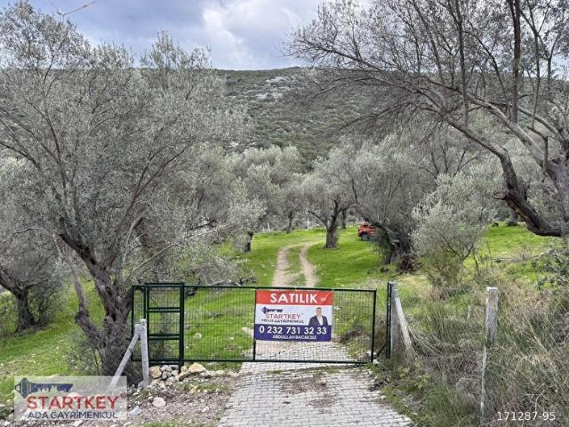 Eğlenhoca Mahallesi, Karaburun içerisinde satılık Arsa