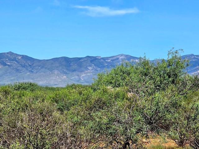 Land for sale in Cochise, Arizona