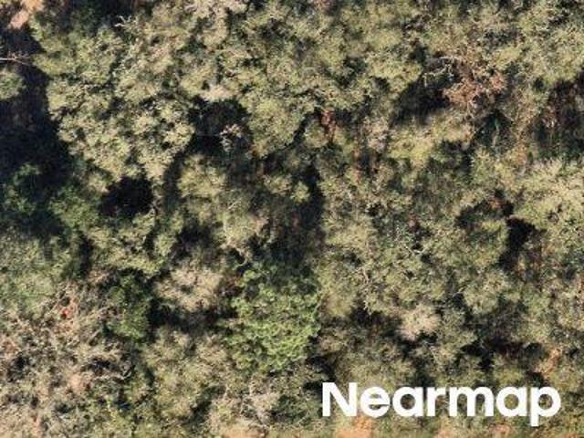 Land for sale in Florida