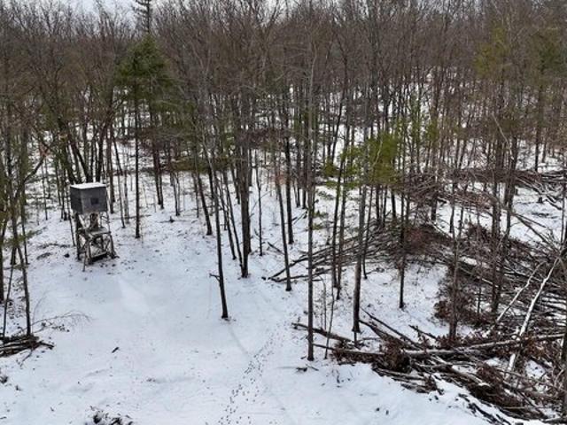 Land for sale in Clare, Michigan