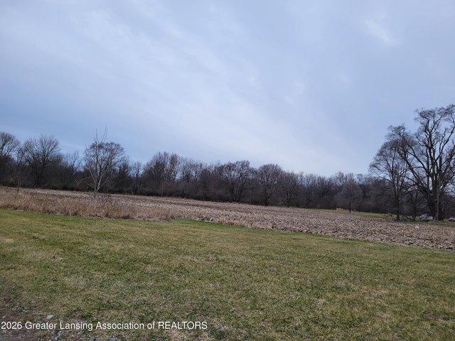Land for sale in Ovid, Michigan