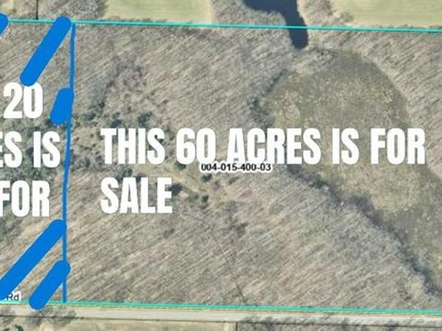 Land for sale in Walkerville, Michigan
