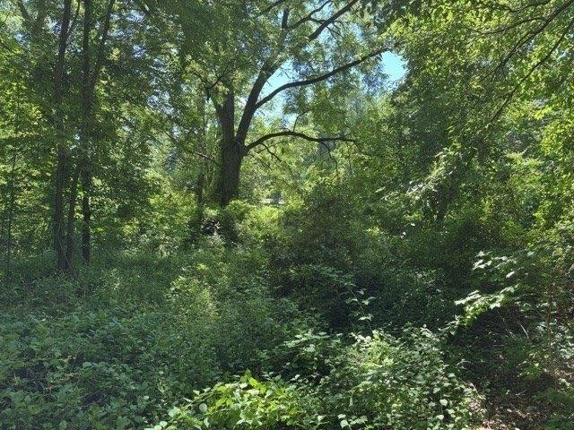 Land for sale in East Brookfield, Worcester County