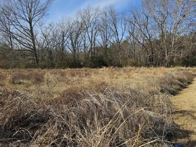 Land for sale in Woodland, North Carolina