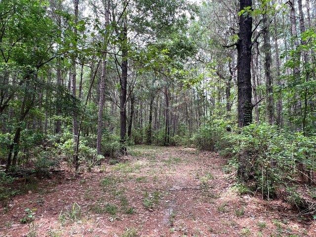 Land for sale in Kennard, Texas