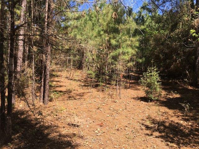 Land for sale in Kennard, Texas