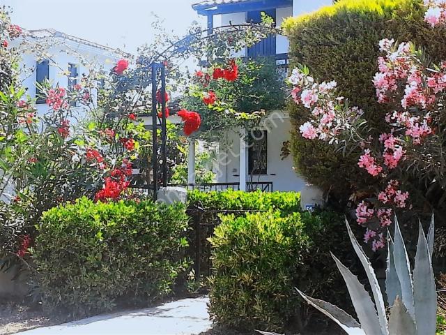 Çeşme, İzmir içerisinde kiralık Villa