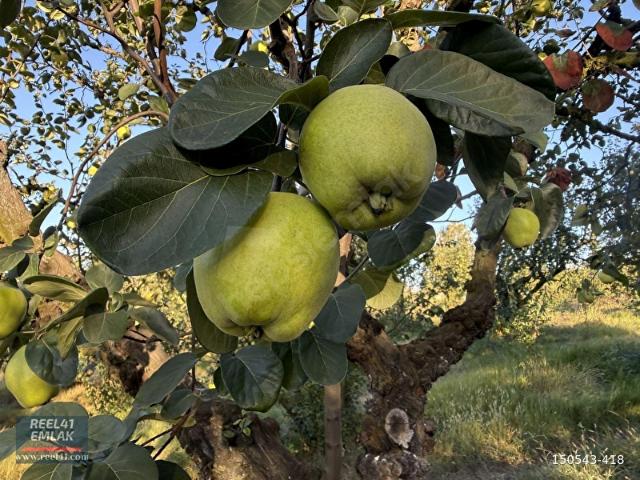 Kartepe, Kocaeli içerisinde satılık Arsa