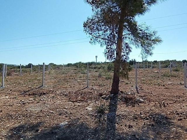 Çeşme, İzmir içerisinde satılık Arsa