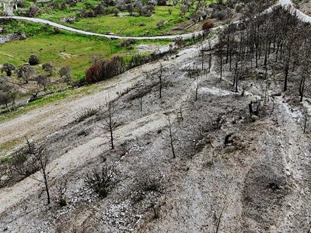 Çeşme, İzmir içerisinde satılık Arsa