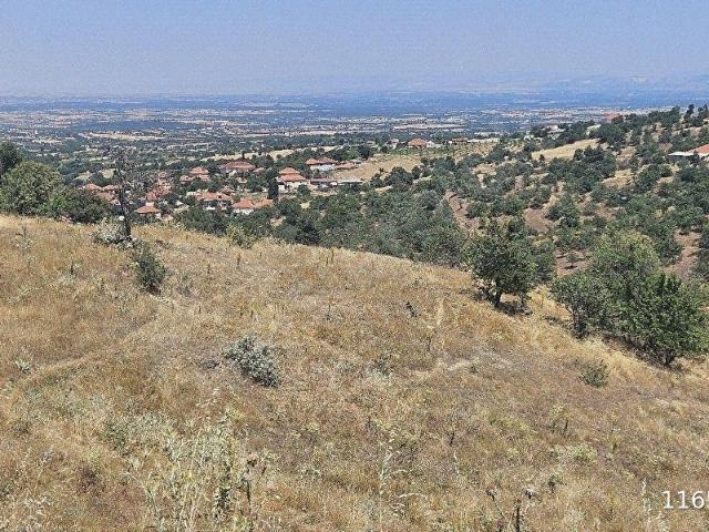 Eşme, Uşak içerisinde satılık Arsa