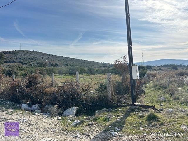 Reisdere Mahallesi, Çeşme içerisinde satılık mülk