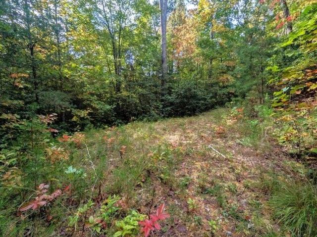Land for sale in Bryson City, Swain County