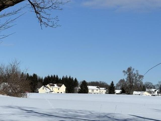 Land for sale in Grass Lake, Michigan