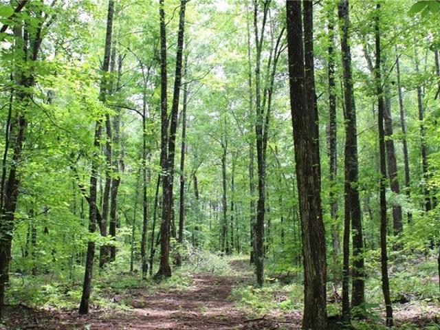 Land for sale in Coosa, Alabama