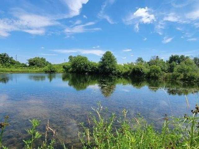 Land for sale in Baileyville, Illinois