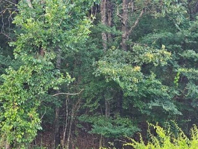 Land for sale in Gore, Oklahoma