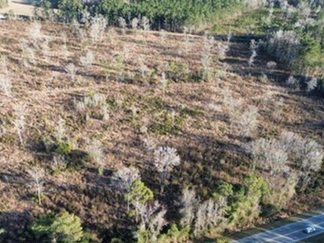 Land for sale in Johnsonville, South Carolina