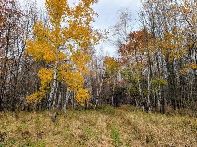 Land for sale in Glen Flora, Wisconsin