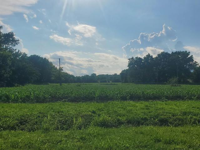 Land for sale in Kansas