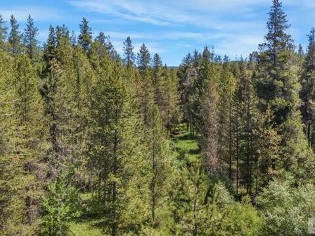 Land for sale in Ashton, Idaho