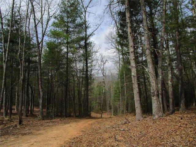Land for sale in Gilmer, Georgia