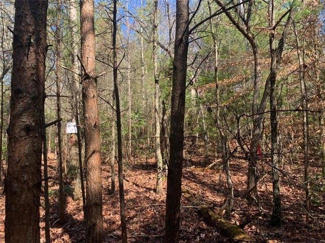 Land for sale in Gilmer, Georgia