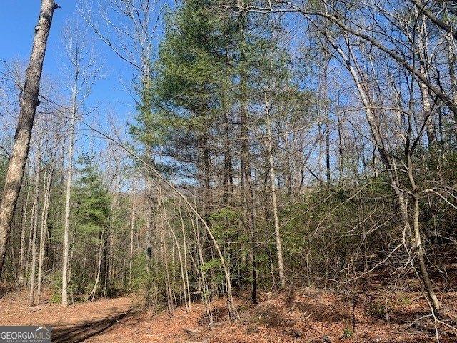 Land for sale in Gilmer, Georgia