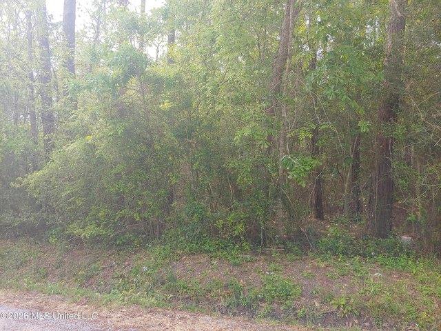 Land for sale in Bay Saint Louis, Mississippi