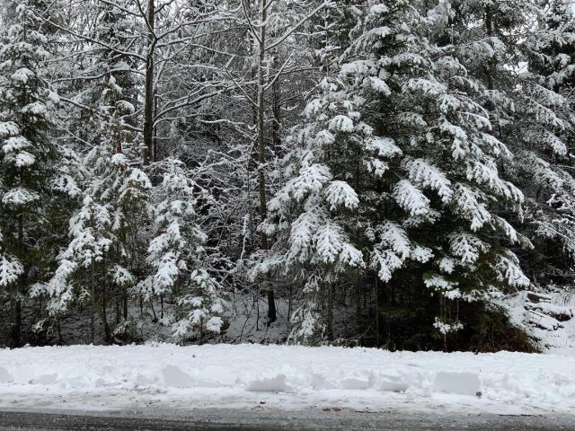 Land for sale in Presque Isle, Michigan