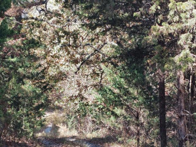 House for sale in Rogers, Oklahoma