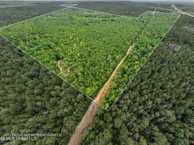 Land for sale in Waynesboro, Mississippi