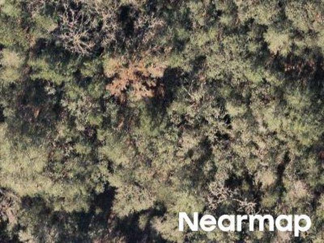 Land for sale in Inverness, Florida