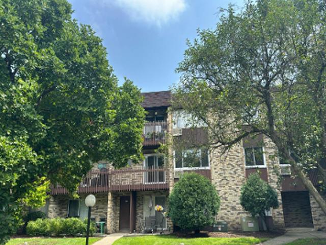 Condo for sale in Prospect Heights, Illinois