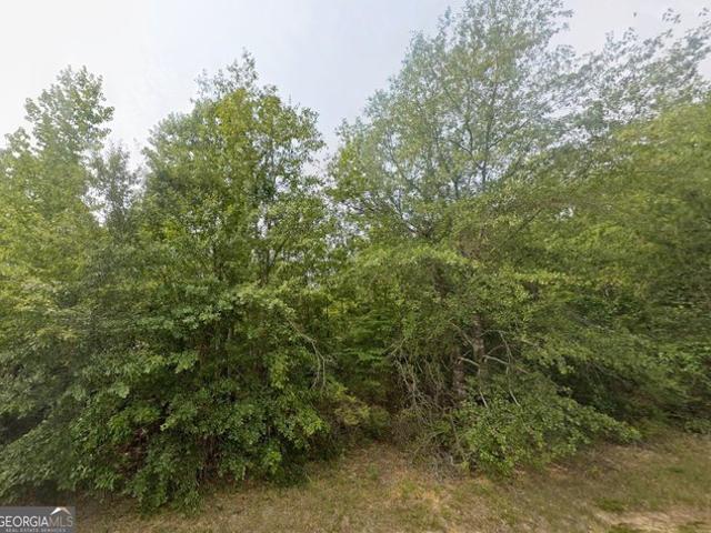 Land for sale in Butler, Georgia