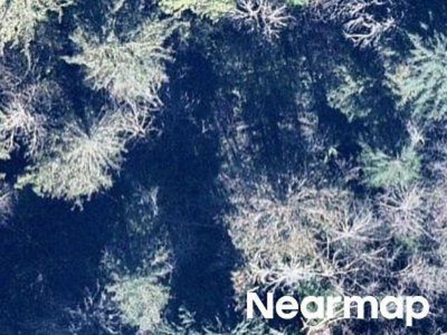 Land for sale in Shelton