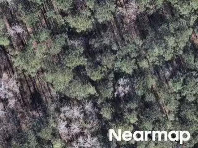 House for sale in Summerville