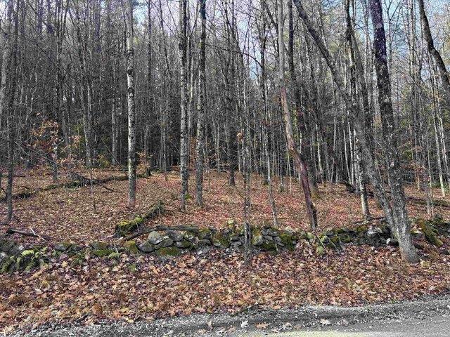 Land for sale in Putney, Vermont