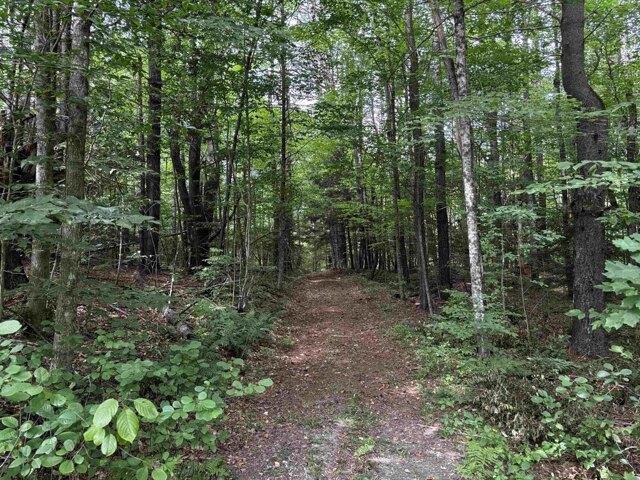 Land for sale in Putney, Vermont