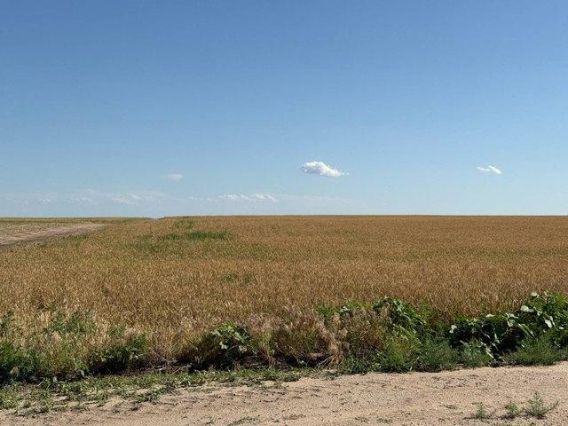 Land for sale in Nebraska