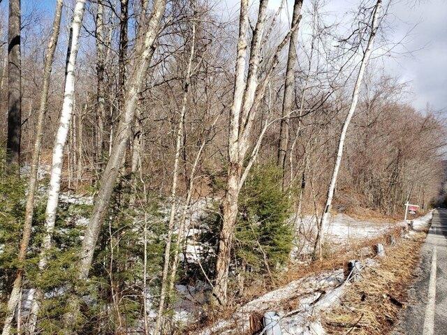 Land for sale in Hampden, Massachusetts